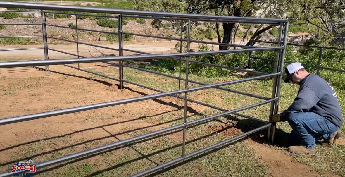 horse stall rescue donation