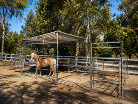 A horse stands under a 12x24 horse stall kit with a 12x12 cover on it.
