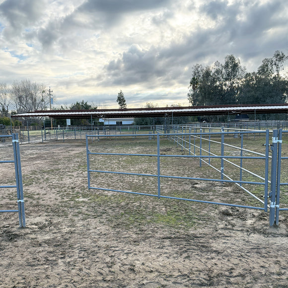 Standard Arena Swing Gate 4Ft X 12Ft (5-Rail) 14 Gauge