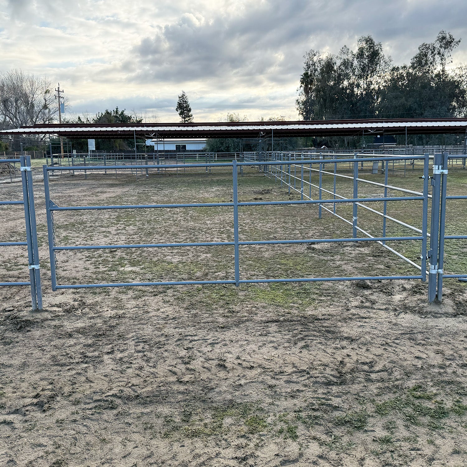 Standard Arena Swing Gate 4Ft X 12Ft (4-Rail) 14 Gauge