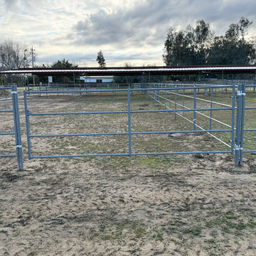 Standard Arena Swing Gate 4Ft X 12Ft (5-Rail) 14 Gauge - 0