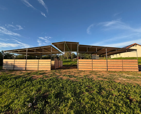 Mare Motel with 12x24 Stalls FULLY COVERED | WOOD PANEL CLAMPS | 5-Rail