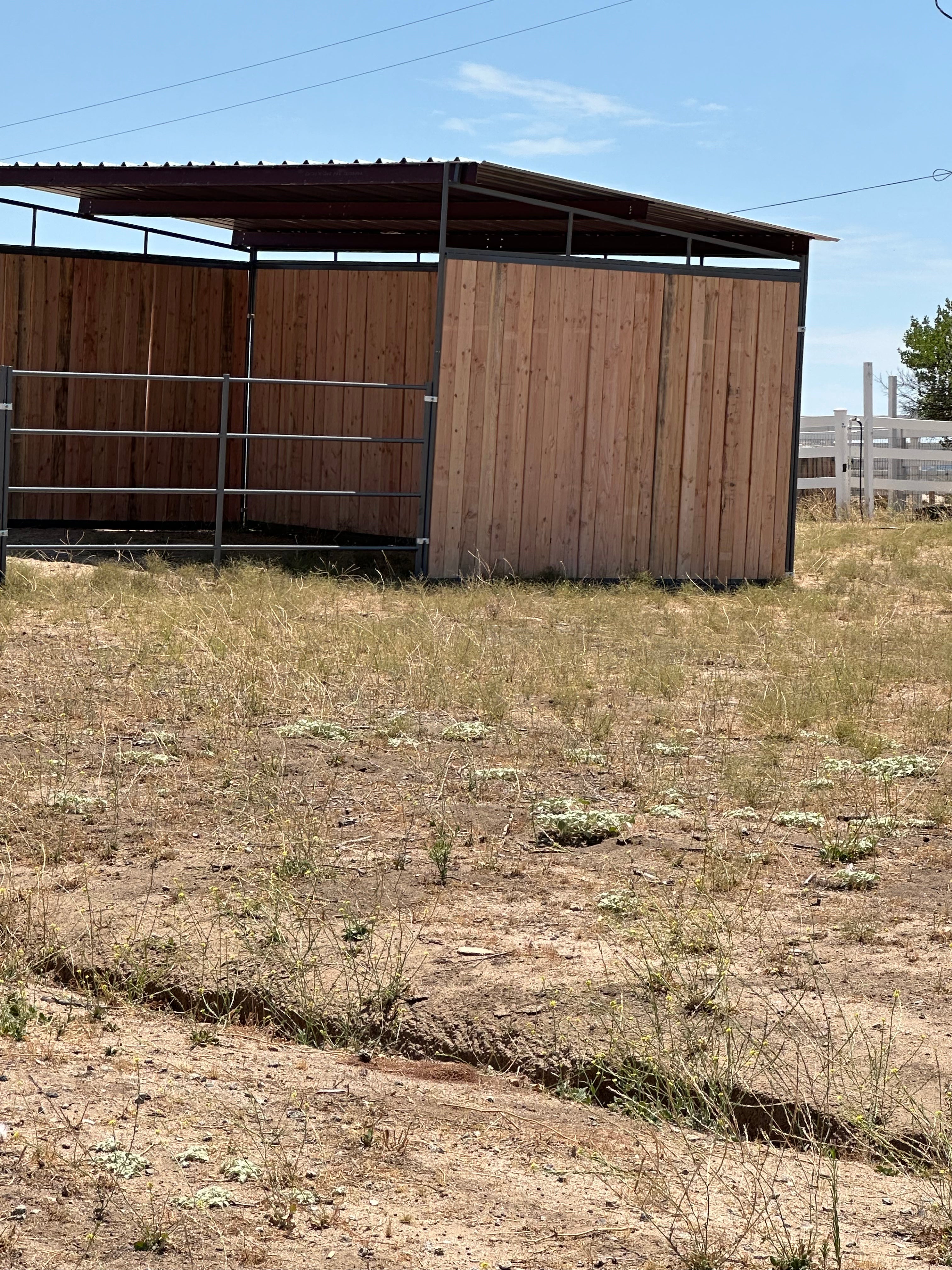 24x24 Stall with 12x24 Loafing Shed (3 Walls) 4-Rail