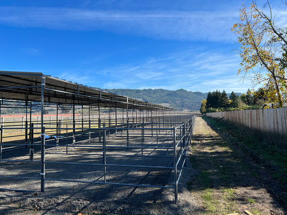 Mare Motel Shed Row with (4) 12x24 Stalls and 12ft Breezeway 4-Rail FULLY COVERED