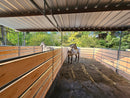 Mare Motel with (4) 12x24 Stalls and 12ft Breezeway 5-Rail WOOD INSERTABLE CLAMPS + PBR SIDING-3